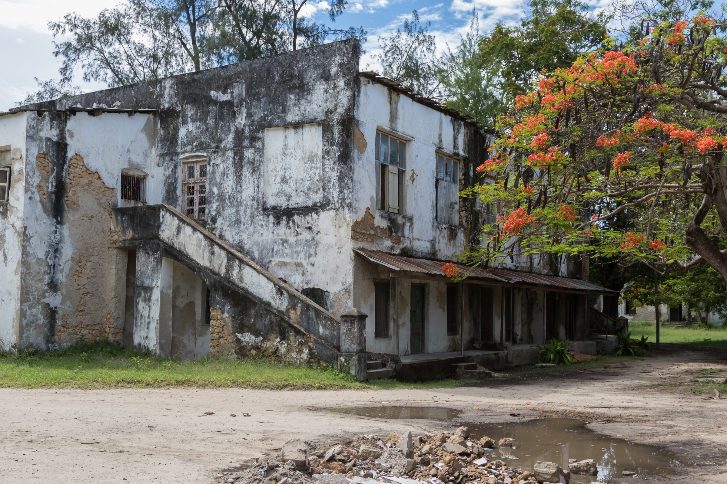 bagamoyo (3).webp